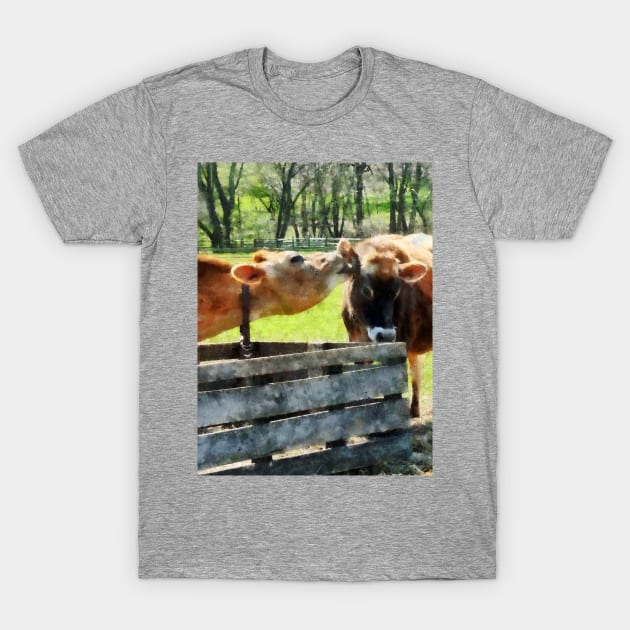 Cows - Want To Hear A Secret T-Shirt by SusanSavad